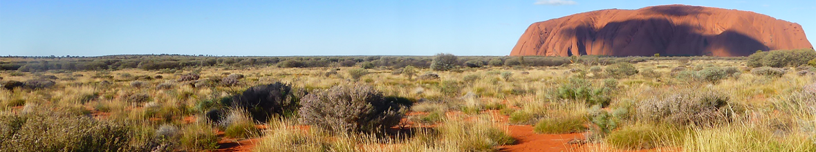 Les Baroudeurs Amateurs
